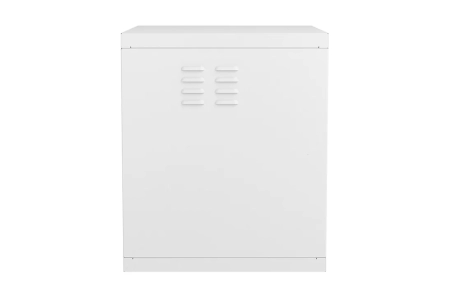 Шкаф антивандальный настенный ШАН-Э 19" 12U(600*550) ССД