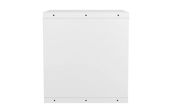 Шкаф антивандальный настенный ШАН-Э 19" 12U(600*550) ССД