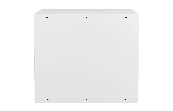 Шкаф антивандальный настенный ШАН-Э 19" 9U(600*550) ССД