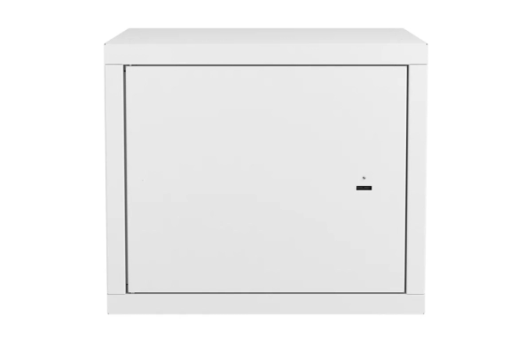 Шкаф антивандальный настенный ШАН-Э 19" 9U(600*550) ССД