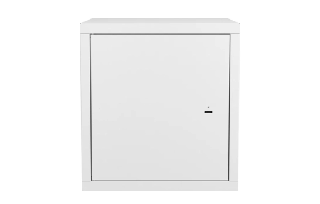 Шкаф антивандальный настенный ШАН-Э 19" 12U(600*550) ССД