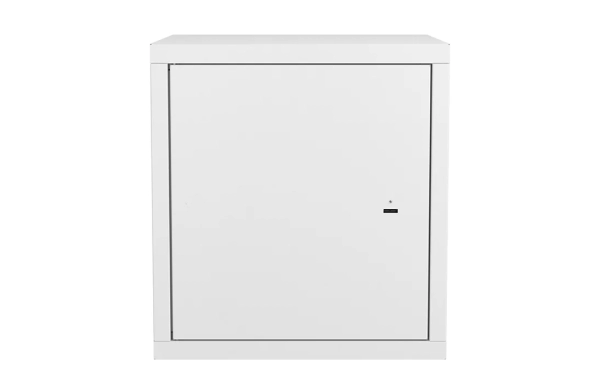 Шкаф антивандальный настенный ШАН-Э 19" 12U(600*550) ССД